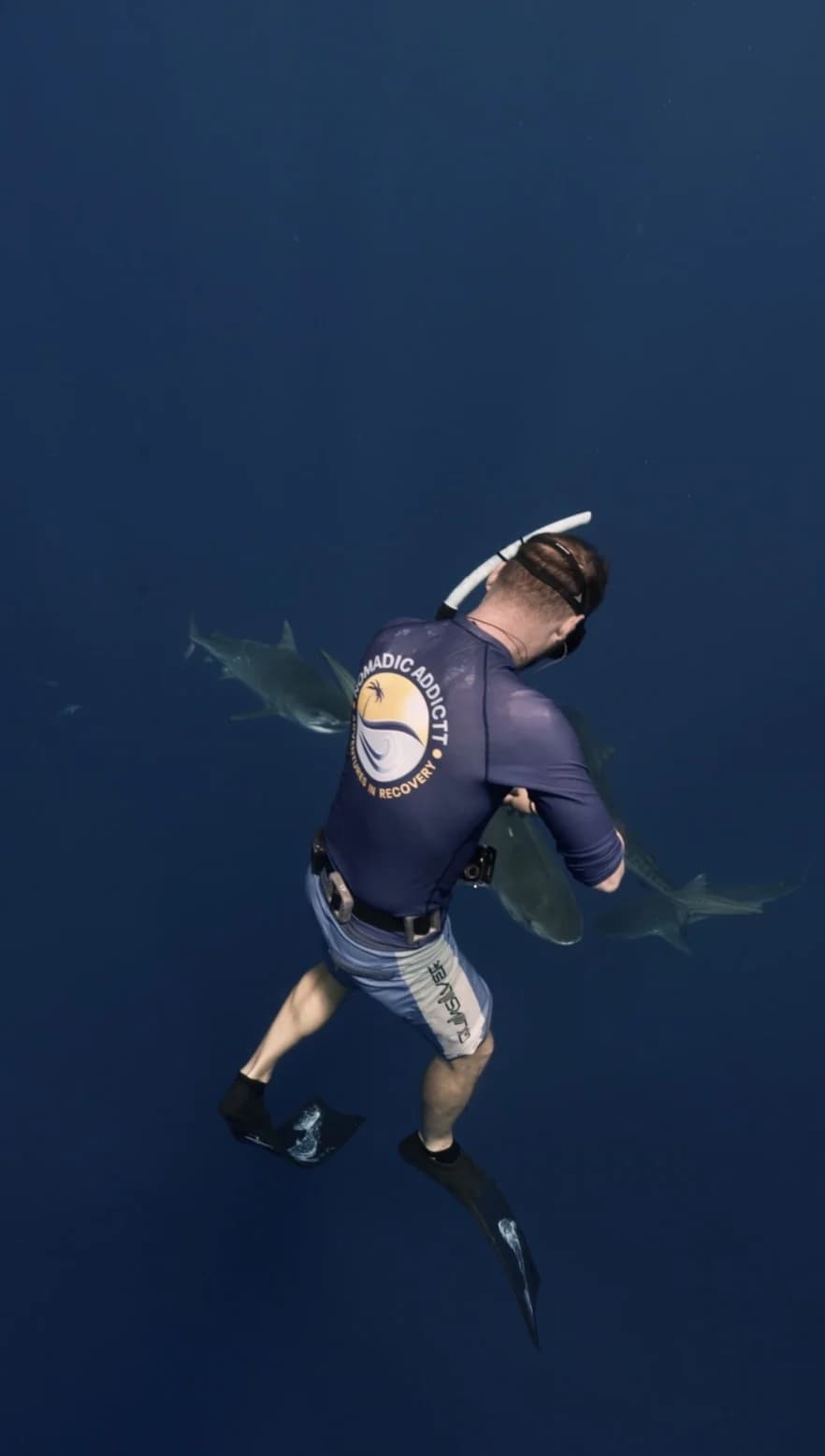 Diving Tiger Sharks in Fuvahmulah: A Sober Adventure in the Maldives - Zac Spowart | Nomadic Addictt Sober Travel