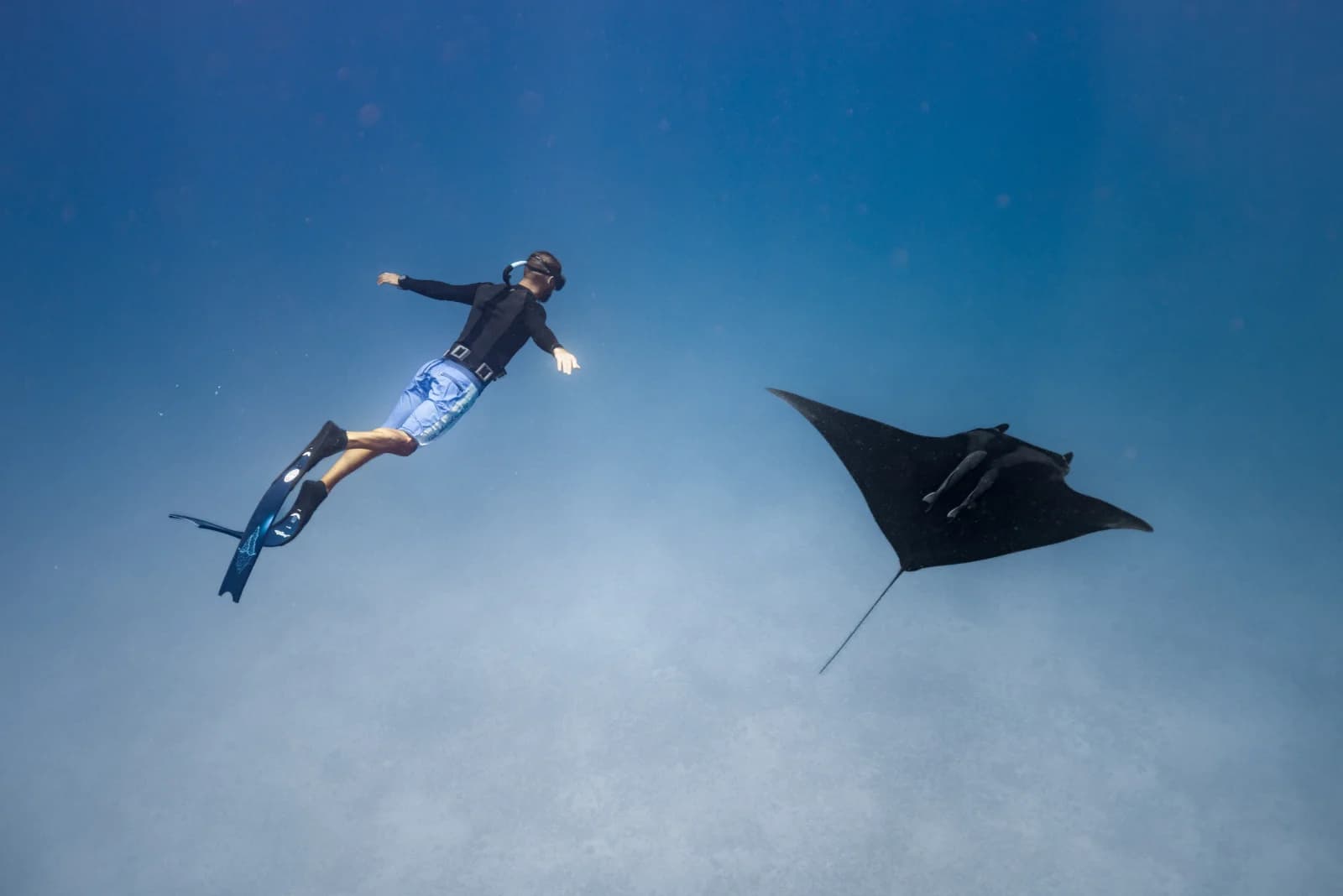 Chasing Orcas and the Psychology of Expectations - Zac Spowart | Nomadic Addictt Sober Travel