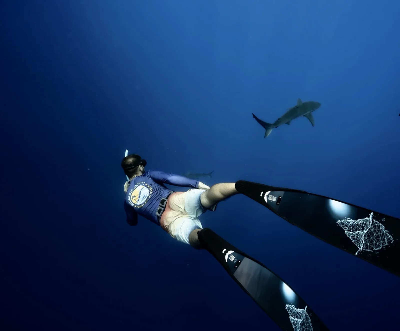 The Ocean Owes Us Nothing: Conscious Sustainable Wildlife Tourism - Zac Spowart | Nomadic Addictt Sober Travel