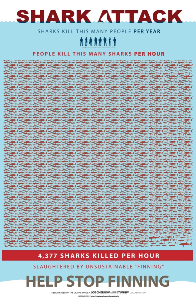 Who is the Real Monster - Sharks or Humans?