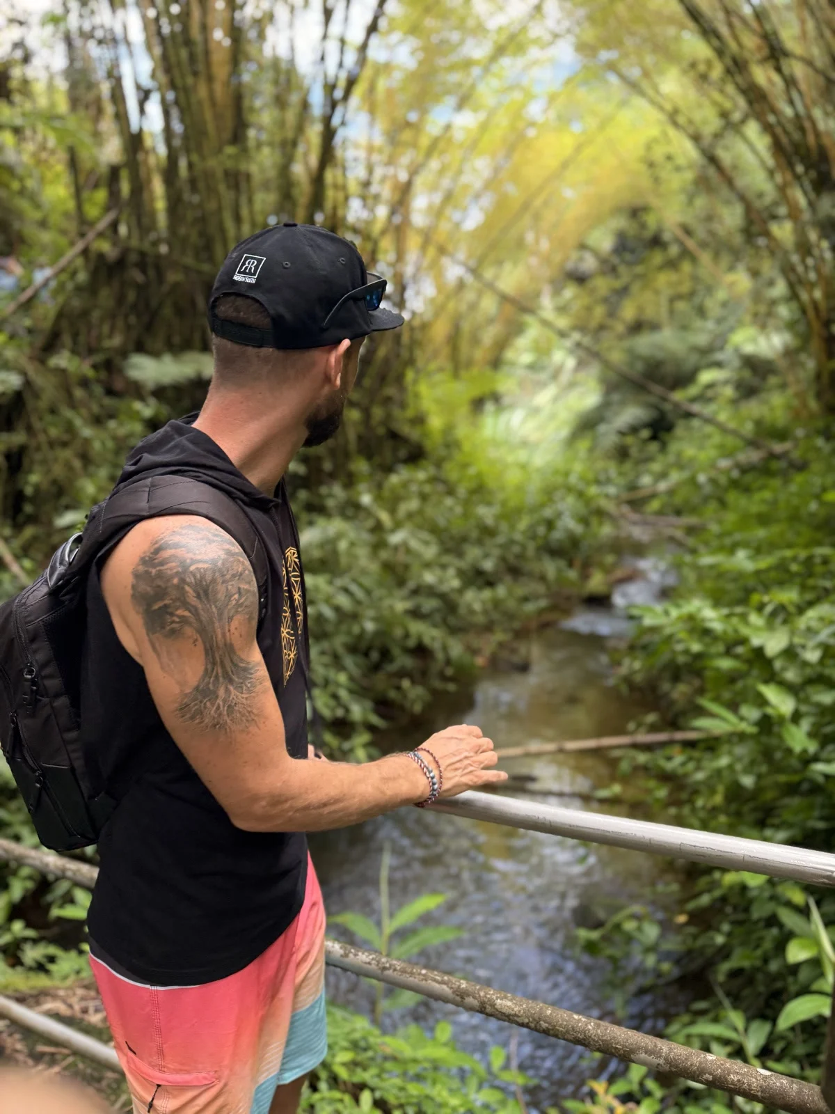 This is where the work actually happens. In your life, not away from it. | Looking out over a jungle stream in Hawaii, on recovery happening in real life rather than inside a facility, Nomadic Addictt.